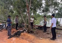 Petir Merenggut Nyawa Remaja di Karimun, Temannya Koma Usai Berteduh di Bawah Pohon Seorang remaja berinisial A (16) meninggal dunia setelah tersambar petir