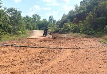Membahayakan Warga, Kabel PLN di Bintan Pesisir Dibiarkan Tergeletak di Tanah Selama Dua Tahun Membahayakan Warga, Kabel PLN di Bintan Pesisir Dibiarkan Tergeletak di Tanah Selama Dua Tahun