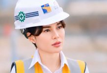 Kinerja Investasi dan Logistik Menguat, Li Claudia: Batam Penggerak Ekonomi Kawasan Li Claudia Kinerja Investasi dan Logistik Menguat