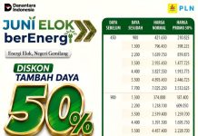Sambut HUT Pekanbaru ke-242, PLN UID Riau dan Kepri Hadirkan Promo Tambah Daya Diskon 50 Persen