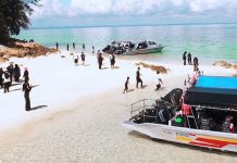 Jelajahi Surga Tropis Mersing, Dari Konservasi Penyu hingga Snorkeling di Perairan Eksotis Johor