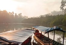 Menyusuri Hutan Endau-Rompin Johor National Park, Jumpa Jejak Gajah hingga Ramuan Tongkat Ali Taman Negara Endau-Rompin Johor National Park