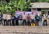 Dukung Program Asta Cita, Polsek Jemaja Tanam Jagung Pipil Bersama Mahasiswa UGM Dukung Program Asta Cita, Polsek Jemaja Tanam Jagung Pipil Bersama Mahasiswa UGM