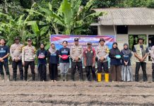 Dukung Program Asta Cita, Polsek Jemaja Tanam Jagung Pipil Bersama Mahasiswa UGM Dukung Program Asta Cita, Polsek Jemaja Tanam Jagung Pipil Bersama Mahasiswa UGM