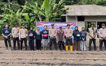 Dukung Program Asta Cita, Polsek Jemaja Tanam Jagung Pipil Bersama Mahasiswa UGM Dukung Program Asta Cita, Polsek Jemaja Tanam Jagung Pipil Bersama Mahasiswa UGM