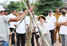 Li Claudia Tanam Pohon Tanda Diawali Penataan DAS Baloi Indah Jadi Taman Kota Li Claudia Tanam Pohon Tanda Diawali Penataan DAS Baloi Indah Jadi Taman Kota