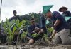 Telkomsel Tanam 3.000 Mangrove di Nagari Sungai Pinang Pesisir Selatan Telkomsel Tanam 3.000 Mangrove di Nagari Sungai Pinang Pesisir Selatan