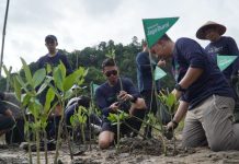 Telkomsel Tanam 3.000 Mangrove di Nagari Sungai Pinang Pesisir Selatan Telkomsel Tanam 3.000 Mangrove di Nagari Sungai Pinang Pesisir Selatan