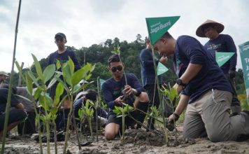 Telkomsel Tanam 3.000 Mangrove di Nagari Sungai Pinang Pesisir Selatan Telkomsel Tanam 3.000 Mangrove di Nagari Sungai Pinang Pesisir Selatan