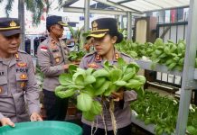 Polsek Meral Panen 50 Kilogram Pakcoy, Wujud Nyata Ketahanan Pangan untuk Personel