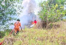 Kebakaran Lahan di Tanjunguban Capai 14 Kali, Jalan Panca Marga Sebulan Sudah 4 Kali Kebakaran Lahan di Tanjunguban Capai 14 Kali, Jalan Panca Marga Sebulan Sudah 4 Kali