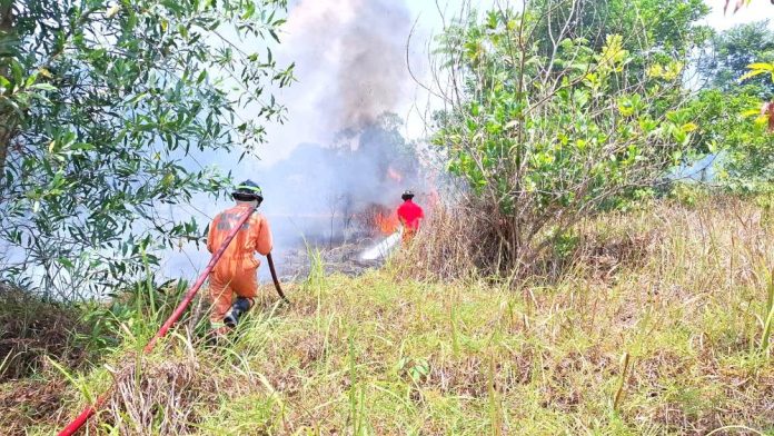 Kebakaran Lahan di Tanjunguban Capai 14 Kali, Jalan Panca Marga Sebulan Sudah 4 Kali
