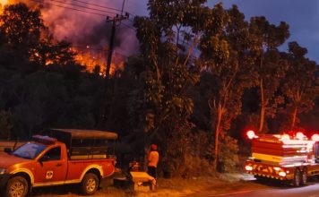 Polda Kepri Bersama TIM Gabungan Berhasil Padamkan Karhutla 35 Hektare di Trans Barelang Kebakaran di Barelang