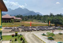 Kerangka Gajah Laut Mina Jadi Koleksi Fenomena di Museum Linggam Cahaya Daik Lingga