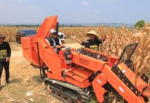 Panen Raya Jagung, Wali Kota Tanjungpinang Lis Apresiasi Pertanian Modern Berbasis Teknologi Panen Raya Jagung, Wali Kota Tanjungpinang Lis Apresiasi Pertanian Modern Berbasis Teknologi