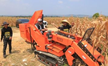 Panen Raya Jagung, Wali Kota Tanjungpinang Lis Apresiasi Pertanian Modern Berbasis Teknologi Panen Raya Jagung, Wali Kota Tanjungpinang Lis Apresiasi Pertanian Modern Berbasis Teknologi
