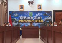 Prabowo Janji Naikkan Pangkat Pangdam dan Kapolda Riau Jika Karhutla Tertangani Prabowo Janji Naikkan Pangkat Pangdam dan Kapolda Riau Jika Karhutla Tertangani