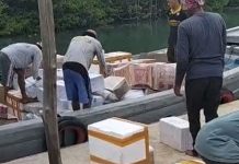 Aktifitas Bongkar Muat Makin Masif di Pelabuhan “Tikus” Tanjunguban Selatan Aktifitas Bongkar Muat Makin Masif di Pelabuhan