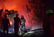 Damkar Tanjunguban catat Karhutla Terjadi 41 Titik Selama Bulan Agustus-September Damkar Tanjunguban catat Karhutla Terjadi 41 Titik Selama Bulan Agustus-September