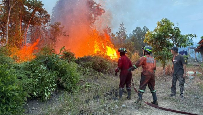 Kebakaran di Desa Sebong Kebakaran di Desa Sebong