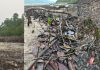 Dugaan 200 Mangrove Ditebang di Piabung, Satreskrim Polres Anambas Bergerak Cepat 200 Mangrove Ditebang di Piabung, Satreskrim Polres Anambas Bergerak Cepat