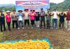 Panen Raya Jagung di Anambas, Kapolres Misbachul Munir Komitmen Perkuat Ketahanan Pangan Nasional Panen Raya Jagung di Anambas, Kapolres Misbachul Munir Komitmen Perkuat Ketahanan Pangan Nasional