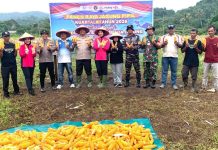 Panen Raya Jagung di Anambas, Kapolres Misbachul Munir Komitmen Perkuat Ketahanan Pangan Nasional Panen Raya Jagung di Anambas, Kapolres Misbachul Munir Komitmen Perkuat Ketahanan Pangan Nasional