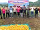 Panen Raya Jagung di Anambas, Kapolres Misbachul Munir Komitmen Perkuat Ketahanan Pangan Nasional Panen Raya Jagung di Anambas, Kapolres Misbachul Munir Komitmen Perkuat Ketahanan Pangan Nasional