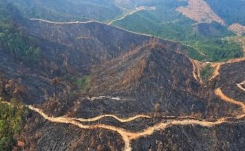 Posko Kesehatan Catat 792 Kasus ISPA Dampak Kabut Asap di Tembilahan Riau Posko Kesehatan Catat 792 Kasus ISPA Dampak Kabut Asap di Tembilahan Riau