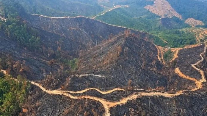 Posko Kesehatan Catat 792 Kasus ISPA Dampak Kabut Asap di Tembilahan Riau Posko Kesehatan Catat 792 Kasus ISPA Dampak Kabut Asap di Tembilahan Riau
