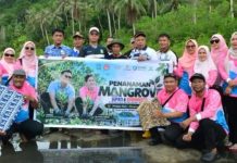 Bupati Anambas Ajak Masyarakat Jaga Mangrove Lewat Penanaman Pohon Bupati Anambas Ajak Masyarakat Jaga Mangrove Lewat Penanaman Pohon