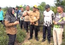 Bupati Siak Afni Zulkifli Jawab Tiga Pertanyaan Presiden Soal Solusi Karhutla Bupati Siak Afni Zulkifli Jawab Tiga Pertanyaan Presiden Soal Solusi Karhutla