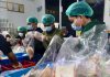 Kabut Asap Picu Penghentian Sementara Penyaluran MBG di Karimun