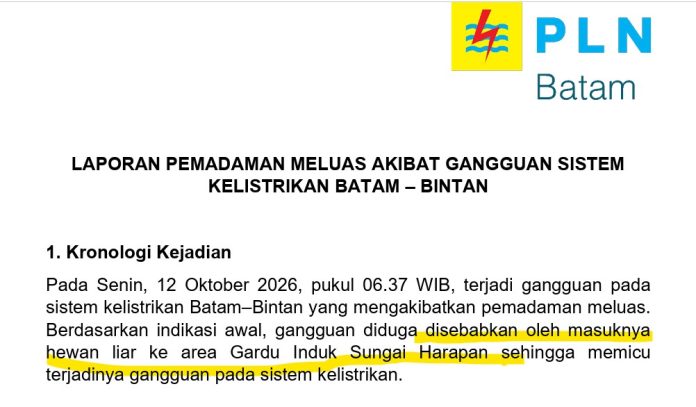 Ini Dugaan Penyebab Listrik Batam-Bintan BlackOut Pagi hingga Malam, Senin 12 Oktober 2026