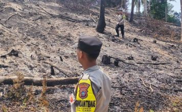 Respons Cepat Bhabinkamtibmas Polsek Palmatak Padamkan Sisa Api di Kebun Warga Respons Cepat Bhabinkamtibmas Polsek Palmatak Padamkan Sisa Api di Kebun Warga