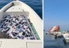 Video Viral Nelayan di Selat Hormuz Panen Iphone dan Parfum akibat Kargo Tenggelam Selat Hormuz dan Iphone