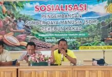 Tingkatkan Produktivitas Kakao, Dinas Pertanian Pasaman Latih Kemampuan Pekebun Tingkatkan Produktivitas Kakao, Dinas Pertanian Pasaman Latih Kemampuan Pekebun